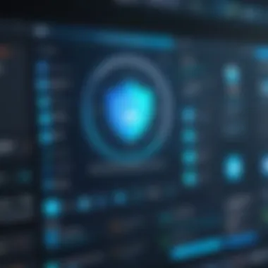 User Interface of Protection Software User interface of a top-rated protection software application
