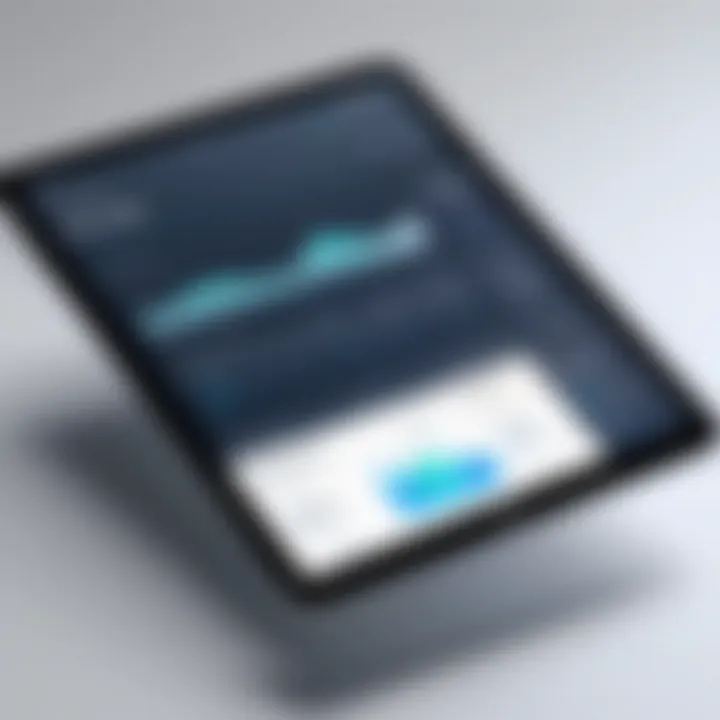 User-friendly interface of a popular trial balance software
