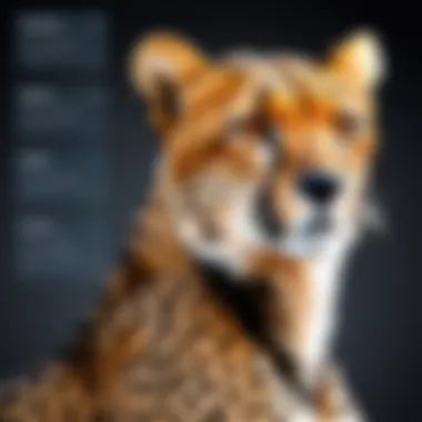 Overview of Cheetah Dispatch Software benefits