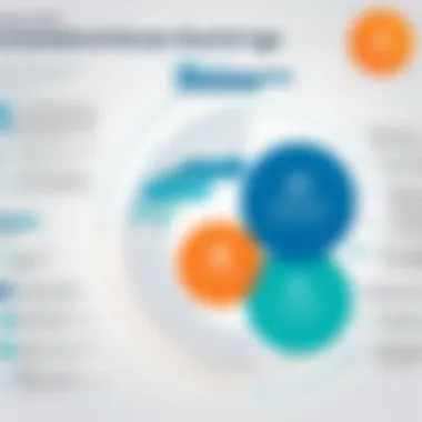 Implementation Strategy for Patient Software Diagram outlining the implementation strategy for patient information software