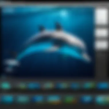 Dolphin Imaging software interface showcasing advanced features