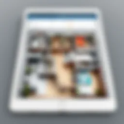 User interface of Floorplanner on iPad showcasing design features