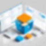 Visual representation of Salesforce donor database architecture