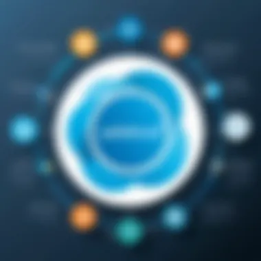 Integration Capabilities of Salesforce Infographic detailing integration capabilities of Salesforce with other platforms