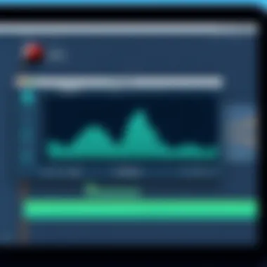 Audio waveform displayed in editing software