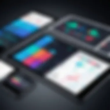 Innovative User Interface of iOS Accounting Software Modern interface of iOS accounting software on a tablet