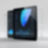 Visual representation of iPad security features