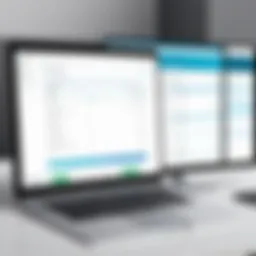 Overview of Paycheck Manager software interface