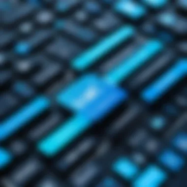 Long-term expenses of IBM Maximo implementation