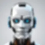 Visual representation of Robohead pricing tiers